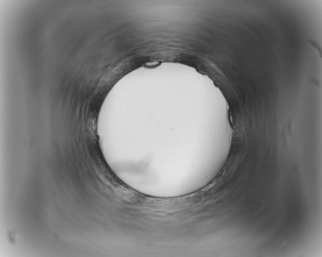 X0000102510045200808291744