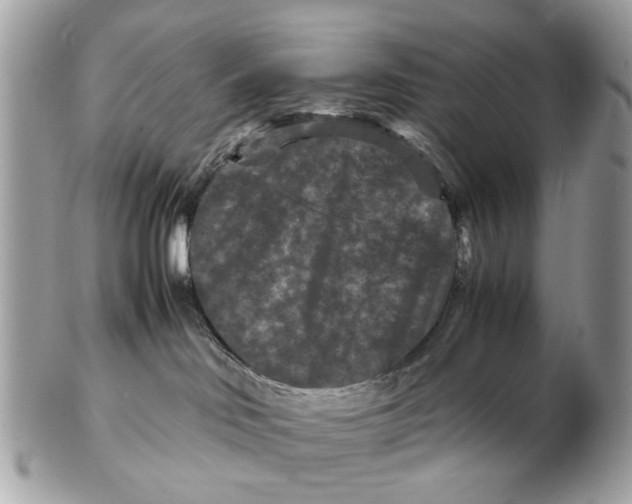 X0000102510046200808291744