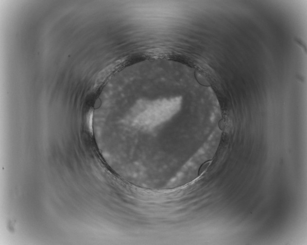 X0000102510047200808291744