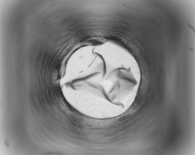 X0000102510048200808291744