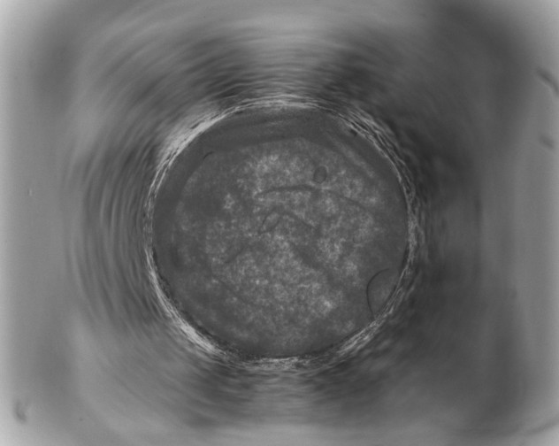 X0000102510049200808291743