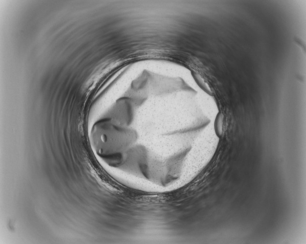 X0000102510050200808291743