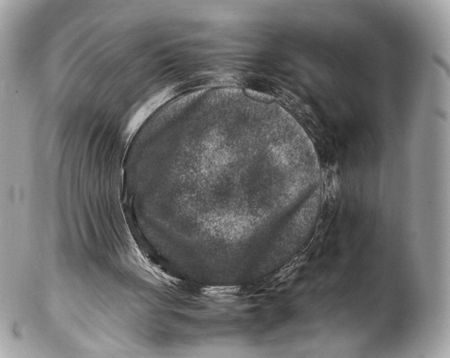 X0000102510051200808291743