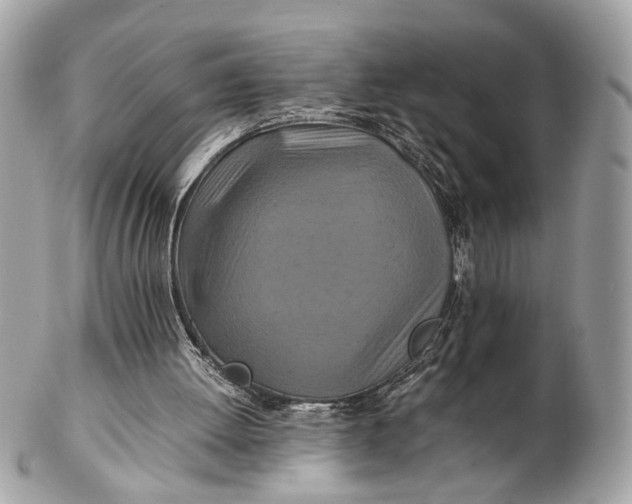 X0000102510052200808291743