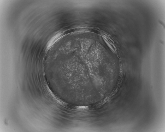 X0000102510053200808291743