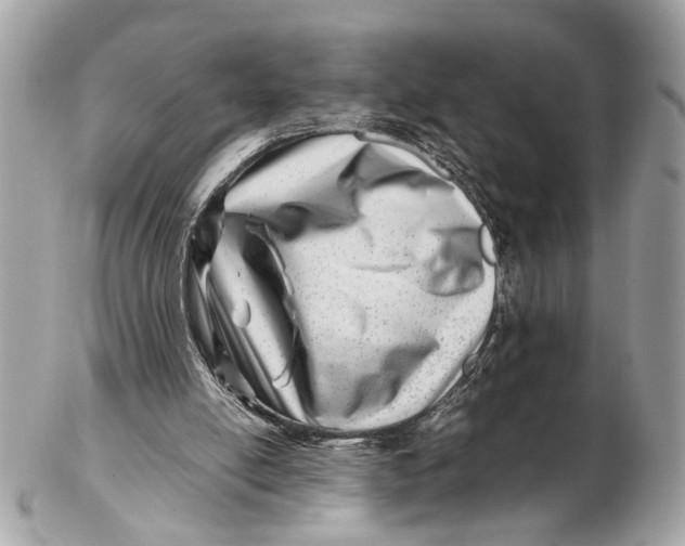 X0000102510054200808291743