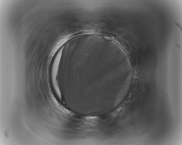 X0000102510055200808291743
