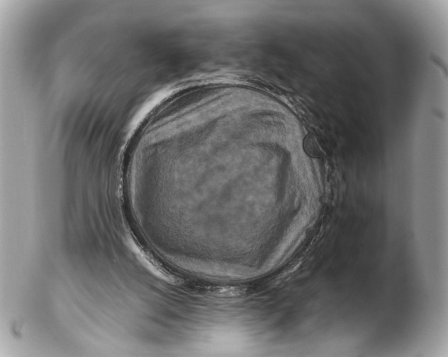 X0000102510056200808291743