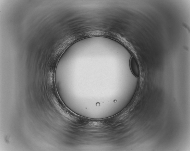 X0000102510057200808291743