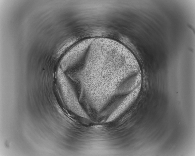 X0000102510058200808291743