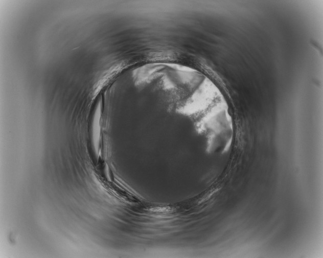 X0000102510059200808291743