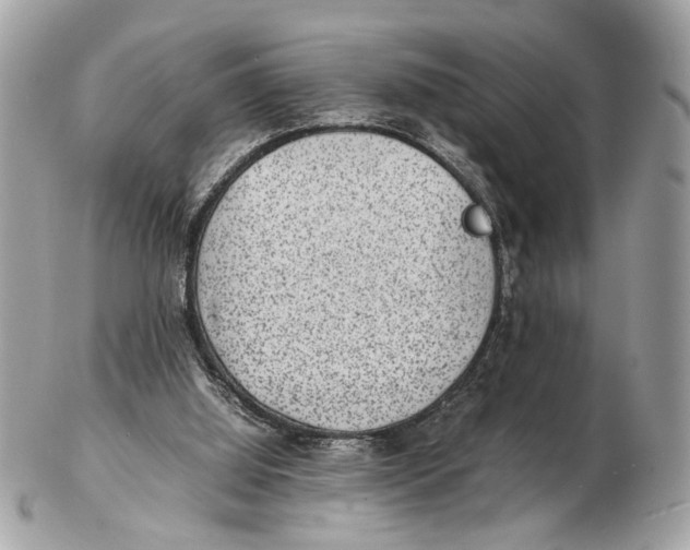 X0000102510060200808291743
