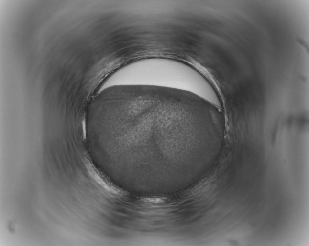 X0000102510061200808291743