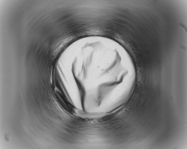 X0000102510062200808291743