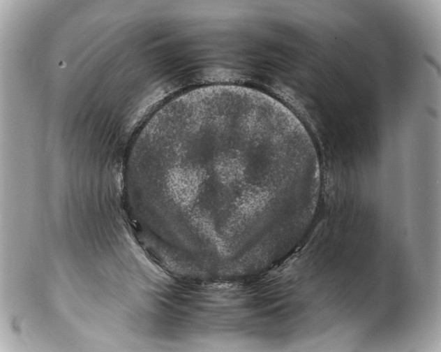 X0000102510063200808291743