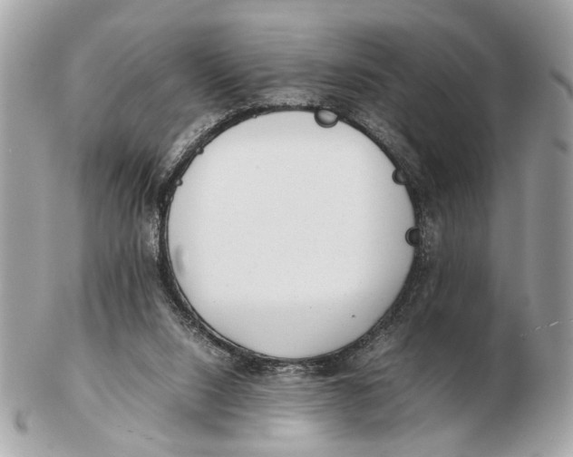 X0000102510064200808291743