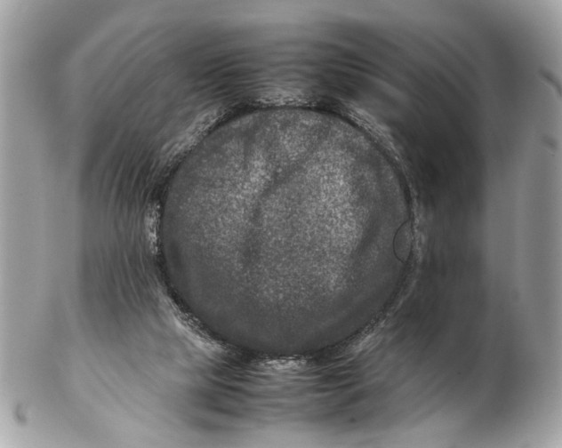 X0000102510065200808291743
