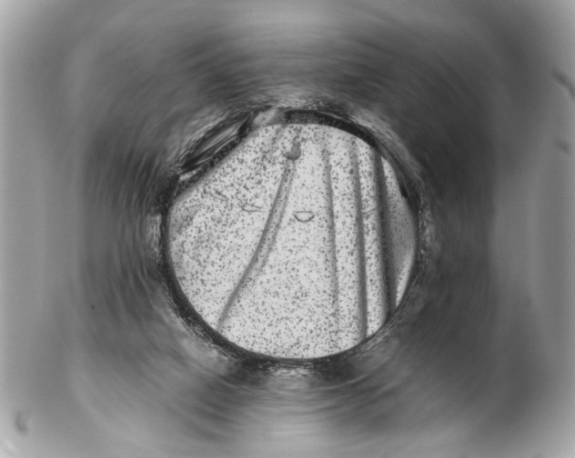 X0000102510066200808291743