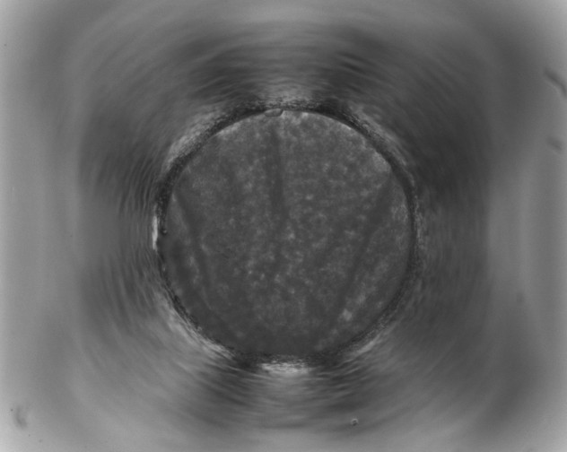 X0000102510067200808291743