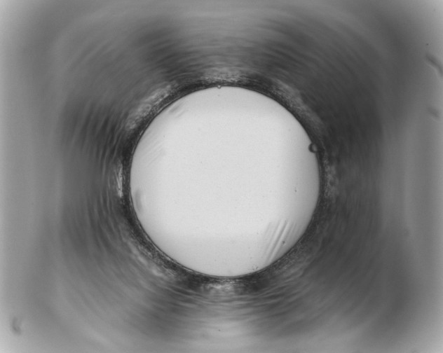 X0000102510068200808291743