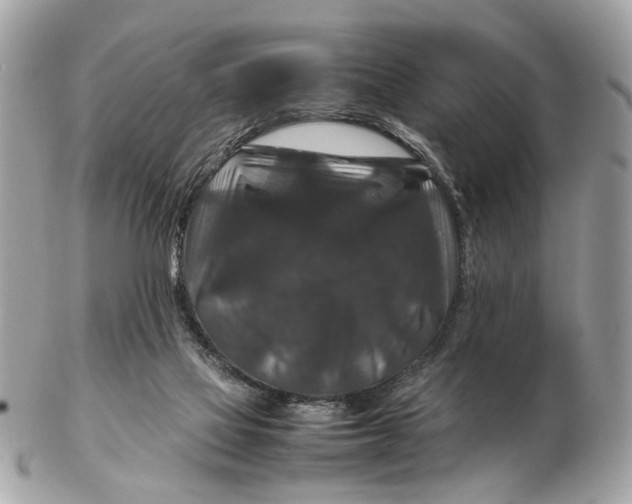 X0000102510069200808291743