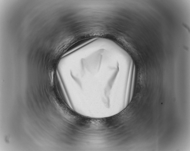 X0000102510070200808291743