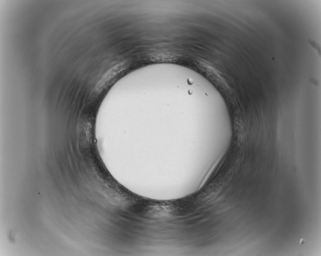 X0000102510071200808291743