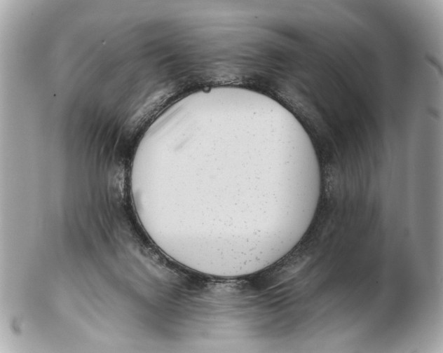 X0000102510072200808291743