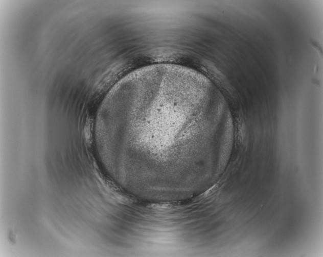X0000102510074200808291743
