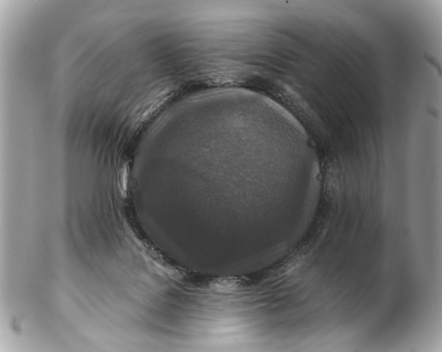 X0000102510076200808291743