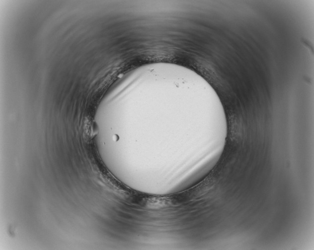 X0000102510077200808291744