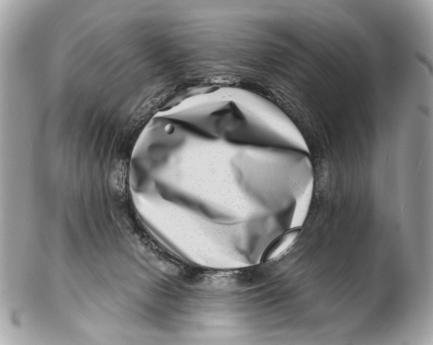 X0000102510078200808291744
