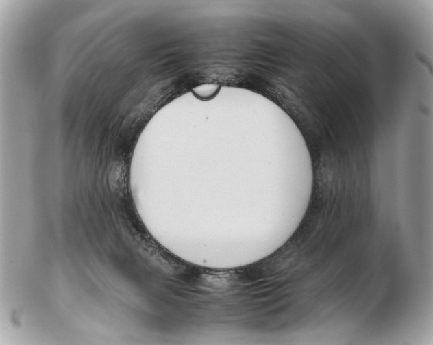 X0000102510079200808291744