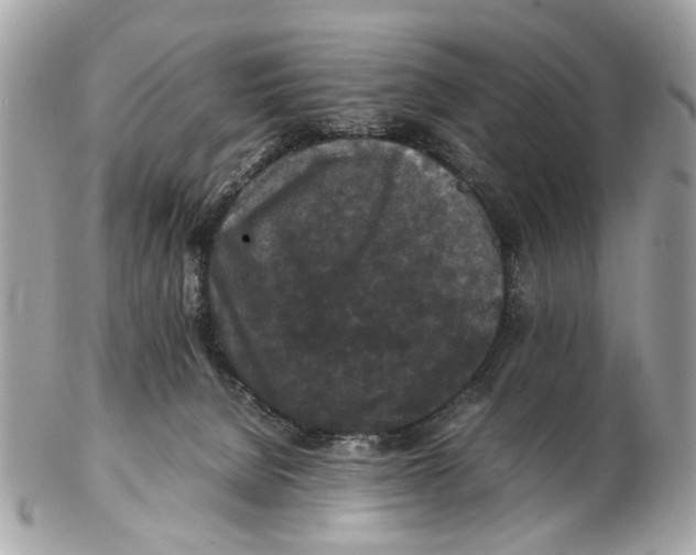 X0000102510080200808291744