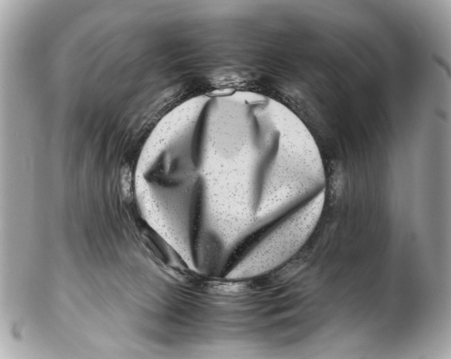 X0000102510081200808291744