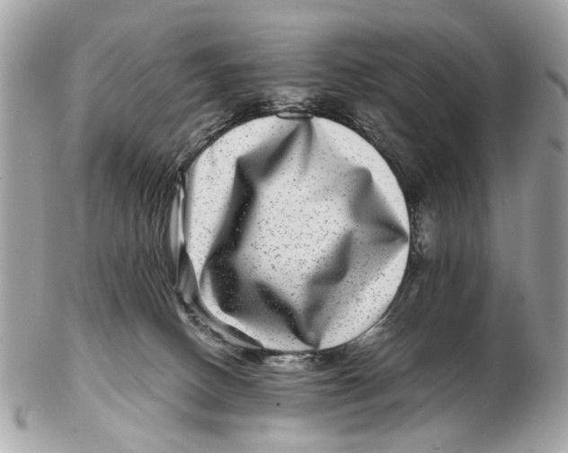 X0000102510082200808291744