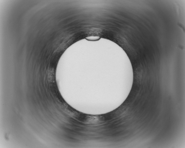 X0000102510083200808291744
