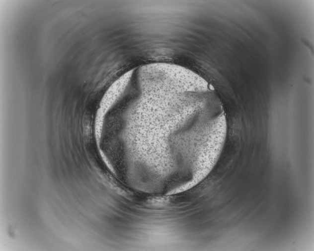 X0000102510084200808291744