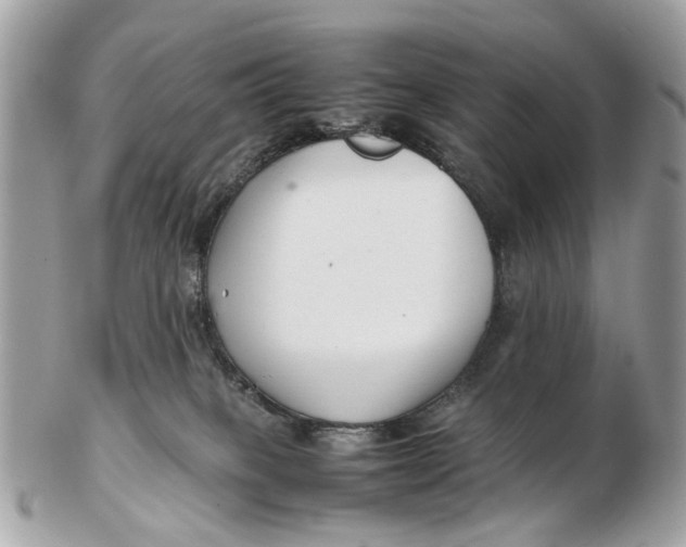 X0000102510085200808291744