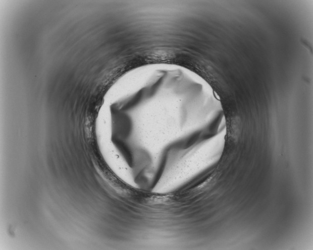 X0000102510086200808291744