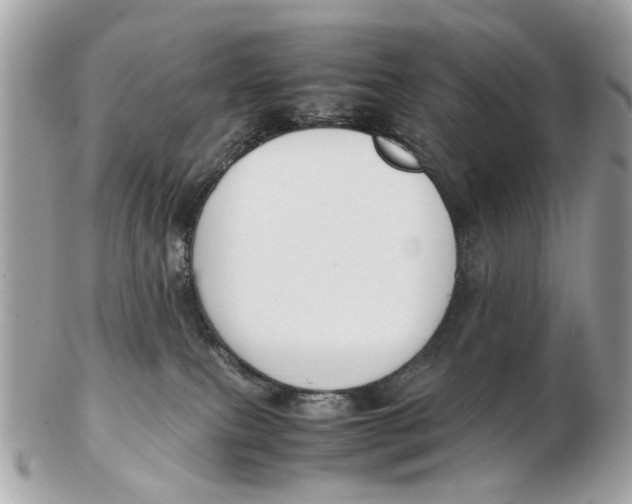X0000102510087200808291744