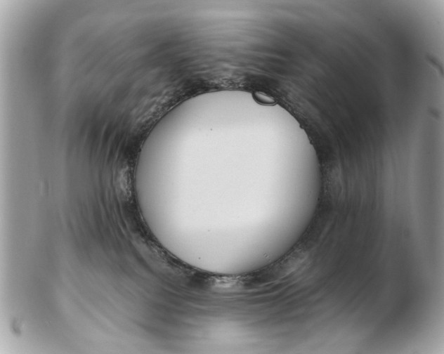 X0000102510088200808291744