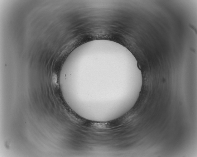 X0000102510089200808291744
