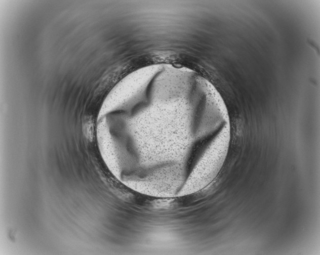 X0000102510090200808291744