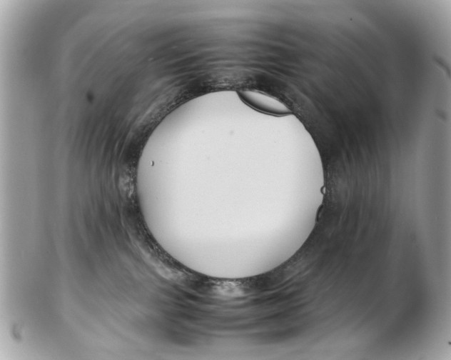 X0000102510091200808291744
