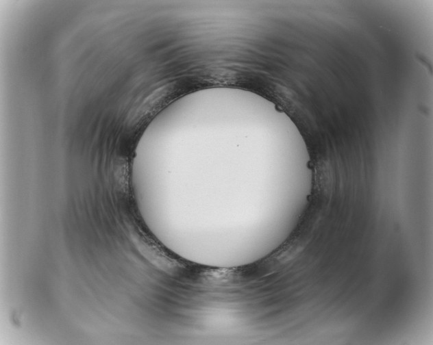 X0000102510092200808291744
