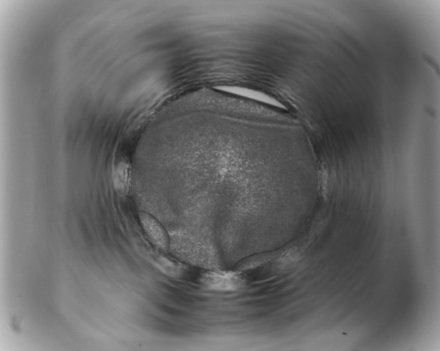 X0000102510093200808291744