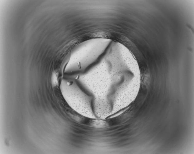 X0000102510095200808291744