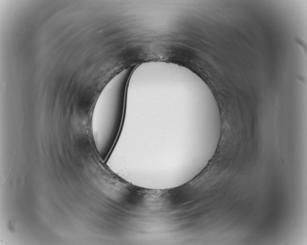 X0000102510096200808291744