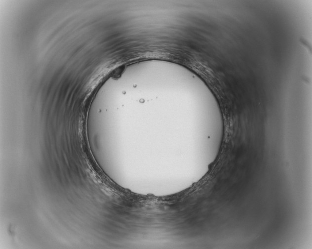 X0000102510098200808291743